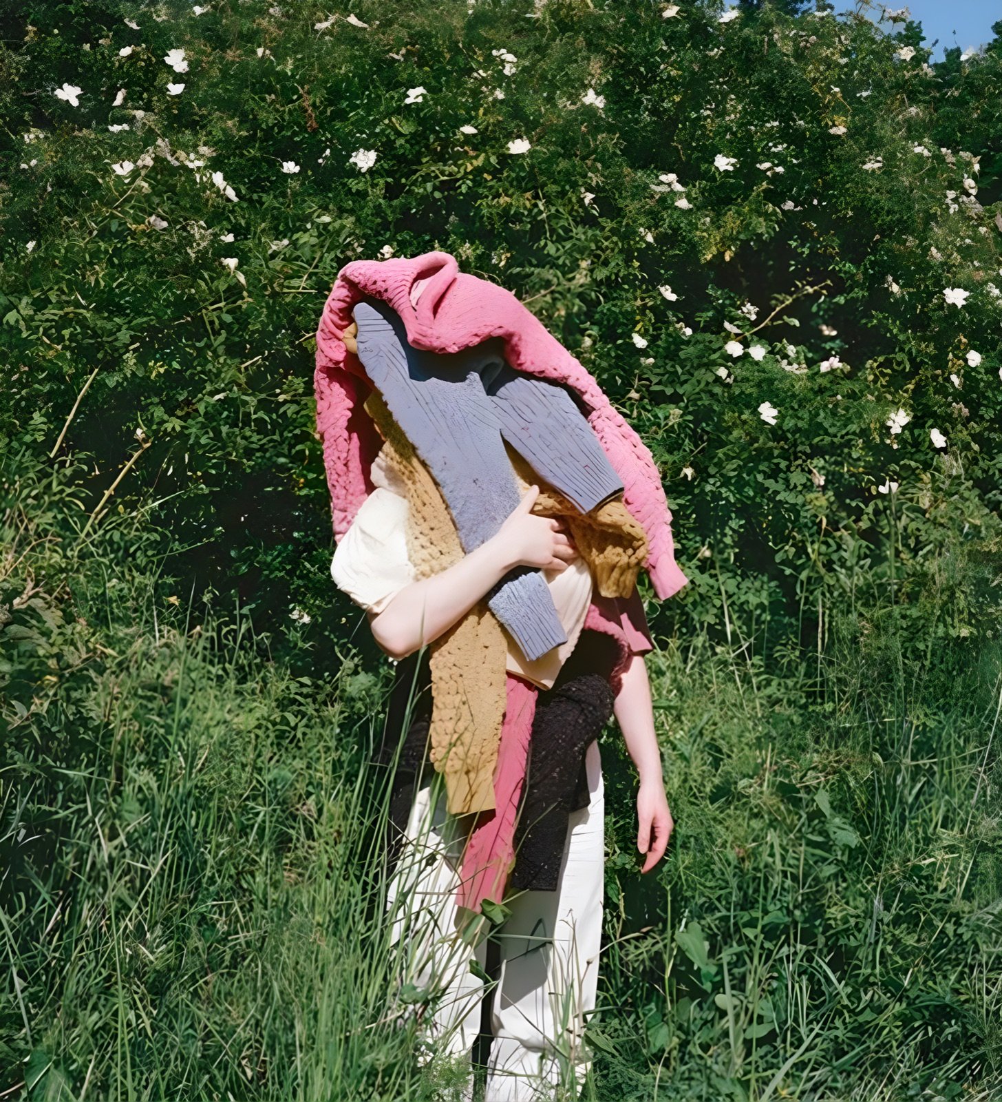 Cream jacket hanging from a bare tree in a green valley